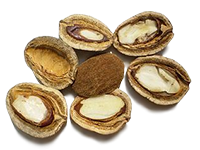 Les pépins de mangue afircaine  (Irvingia Gabonensis)